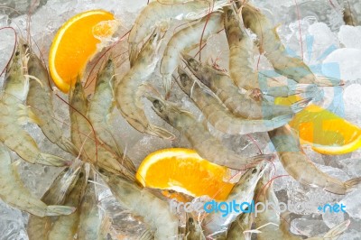 Fresh White Shrimps Stock Photo