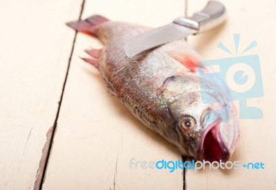 Fresh Whole Raw Fish Stock Photo