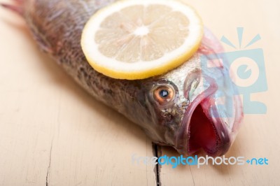 Fresh Whole Raw Fish Stock Photo