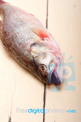 Fresh Whole Raw Fish Stock Photo