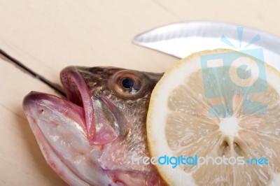 Fresh Whole Raw Fish Stock Photo