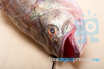 Fresh Whole Raw Fish Stock Photo