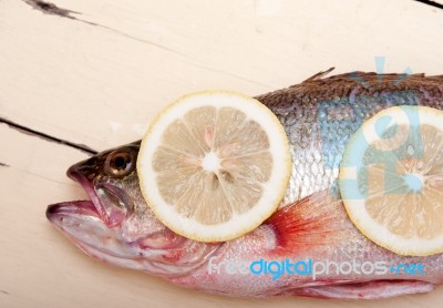 Fresh Whole Raw Fish Stock Photo