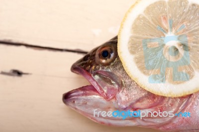 Fresh Whole Raw Fish Stock Photo