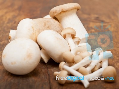 Fresh Wild Mushrooms Stock Photo