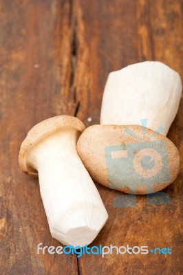 Fresh Wild Mushrooms Stock Photo