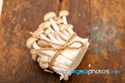 Fresh Wild Mushrooms Stock Photo