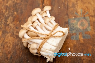 Fresh Wild Mushrooms Stock Photo