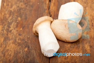 Fresh Wild Mushrooms Stock Photo