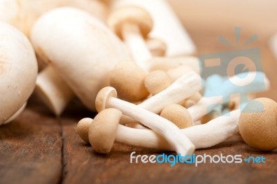 Fresh Wild Mushrooms Stock Photo