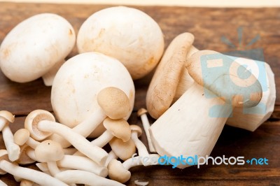 Fresh Wild Mushrooms Stock Photo