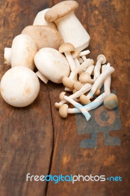 Fresh Wild Mushrooms Stock Photo