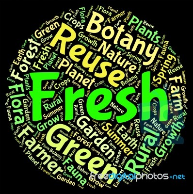 Fresh Word Indicates Words Fresher And Text Stock Image