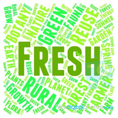 Fresh Word Showing Text Freshest And Natural Stock Image