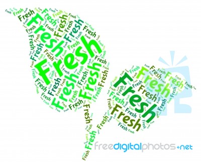 Fresh Word Shows Natural New And Freshness Stock Image