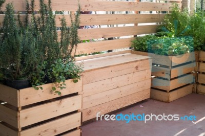 Freshly Aroma Herbs Growing In The Garden Stock Photo