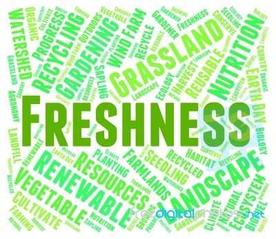 Freshness Word Meaning Fresher Raw And Text Stock Image