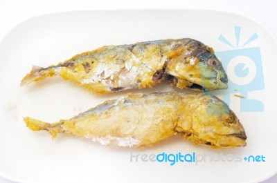 Fried Mackerel On White Background Stock Photo