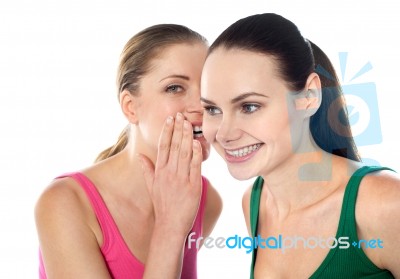 Friends Gossiping Stock Photo