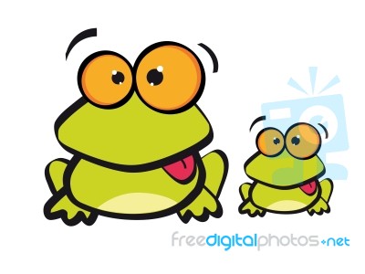 Frog Stock Image