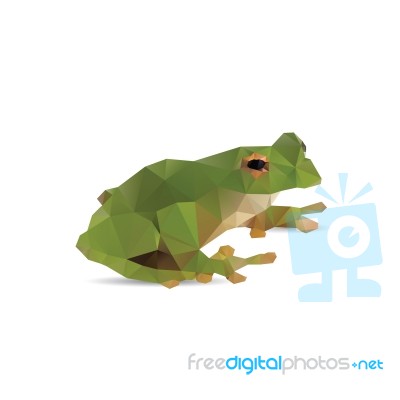 Frog Abstract Stock Image