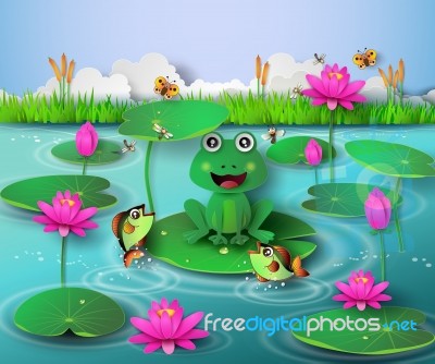 Frog In The Pond Stock Image