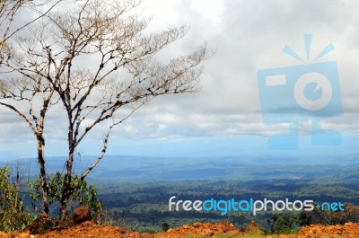 From Andes To Amazon, View Of The Tropical Rainforest, Ecuador Stock Photo