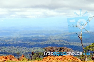 From Andes To Amazon, View Of The Tropical Rainforest, Ecuador Stock Photo