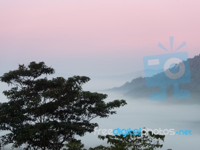 Front Tree, Back Is Sea Of Mist No Forest And Mountain Red Sky Stock Photo