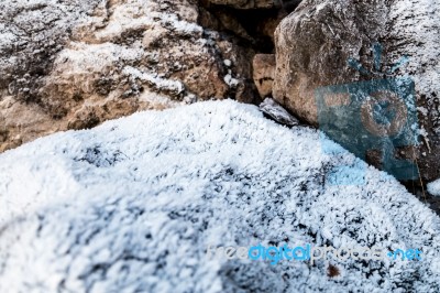 Frost On Growning On Rocks Stock Photo