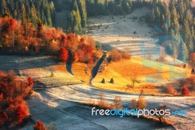 Frosty Sunny Alpine Morning Stock Photo