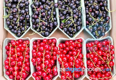 Fruit Baskets With Red Berries And Black Currants Stock Photo