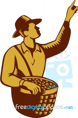 Fruit Picker Worker Pointing Woodcut Stock Image