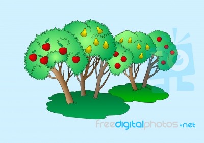 Fruit Trees Illustration Isolated Stock Image