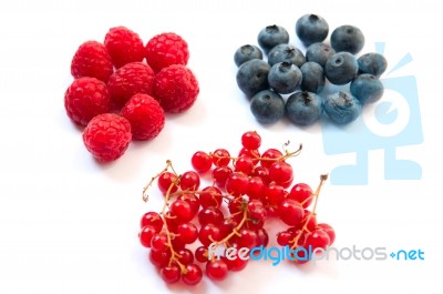 Fruits Stock Photo