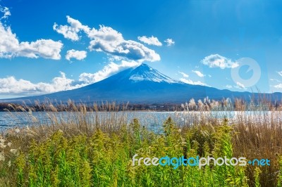 Fuji Mountain And Kawaguchiko Lake In Japan Stock Photo