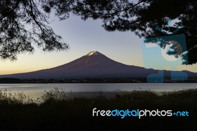 Fuji Mountain With Silhouette Frame Of Tree Stock Photo