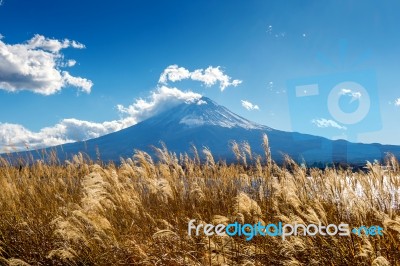 Fuji Mountains And Kawaguchiko Lake In Autumn, Japan Stock Photo