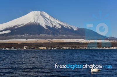 Fujiyama At Yamanakako Lake, Japan Stock Photo