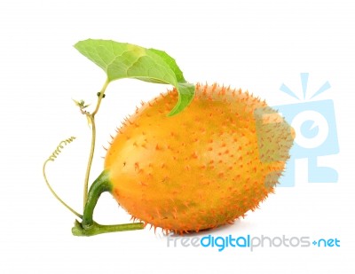 Gac Fruit Isolated On The White Background Stock Photo