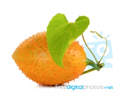 Gac Fruit Isolated On The White Background Stock Photo