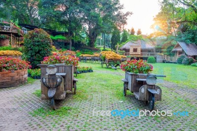 Garden Flowers, Mae Fah Luang Garden Locate On Doi Tung In Chiang Rai,thailand Stock Photo