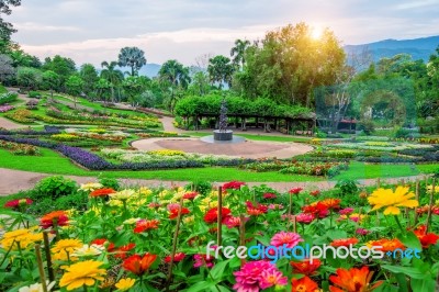 Garden Flowers, Mae Fah Luang Garden Locate On Doi Tung In Chiang Rai,thailand Stock Photo