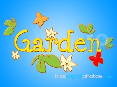 Garden Flowers Means Home Petals And Floral Stock Image