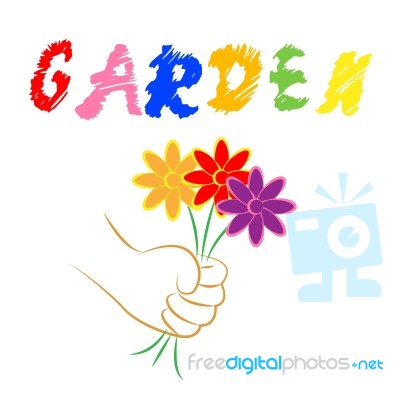 Garden Flowers Represents Bouquet Flora And Gardening Stock Image