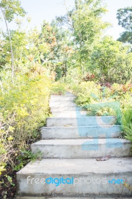 Garden Outdoor Pathway Step Up Stock Photo