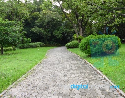 Garden Path Walk In Public Park To Forest Stock Photo