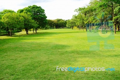 Garden With Trees And Sky Stock Photo