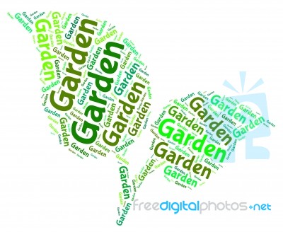 Garden Word Represents Words Outside And Lawns Stock Image