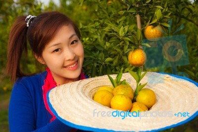 Gardener Girl In Orange Garden, North Of  Thailand Stock Photo